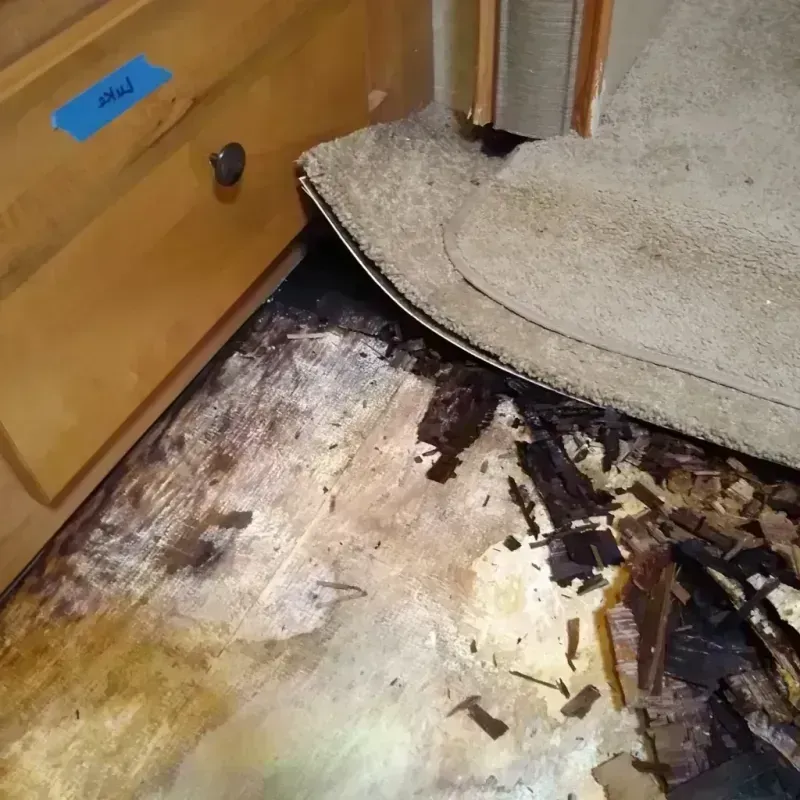 Best Wood Floor Water Damage Service in Leon, IA